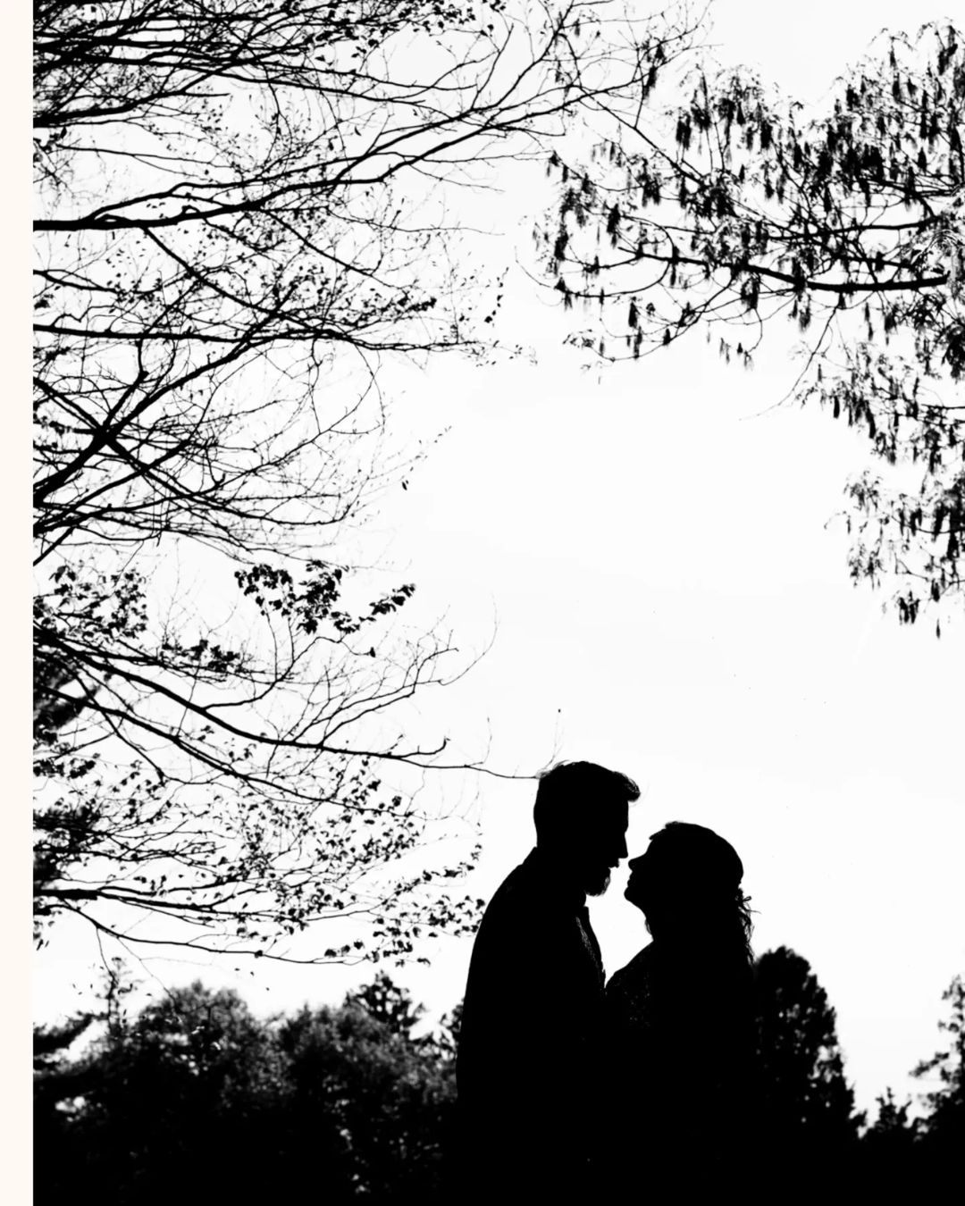 Abhi Sarkar Photography - Photography and Videography