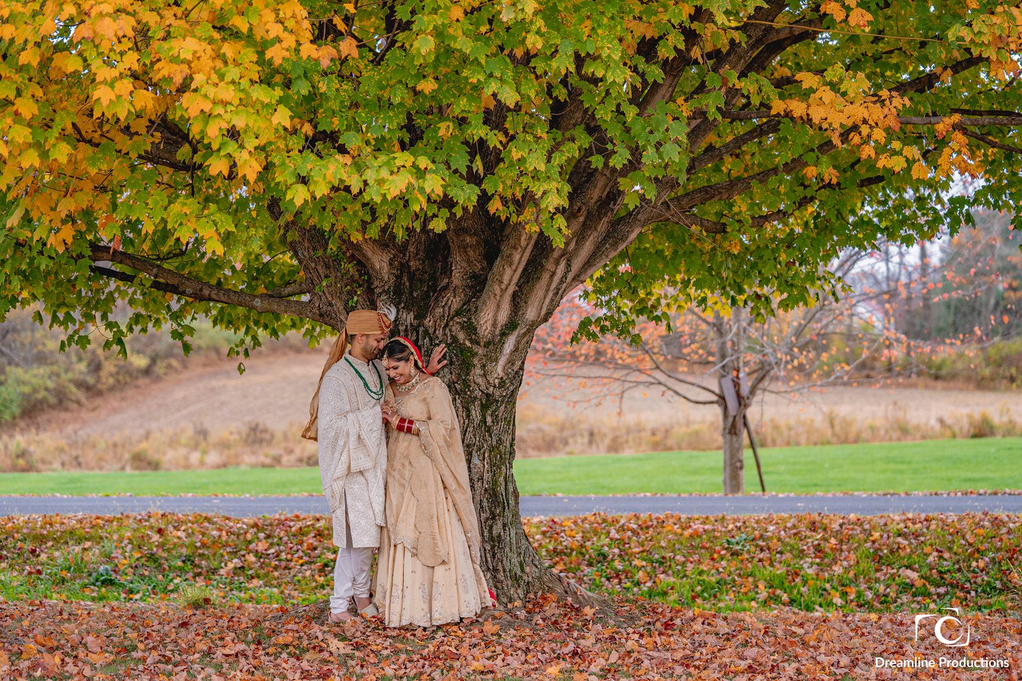 Dreamline Productions - Photography and Videography