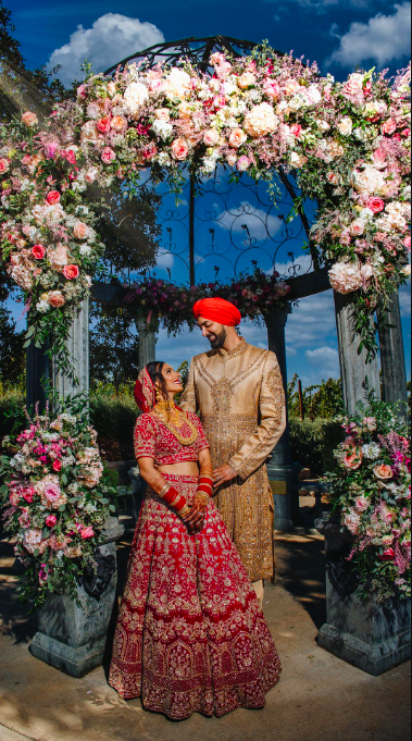 IQ Photo - Photography and Videography