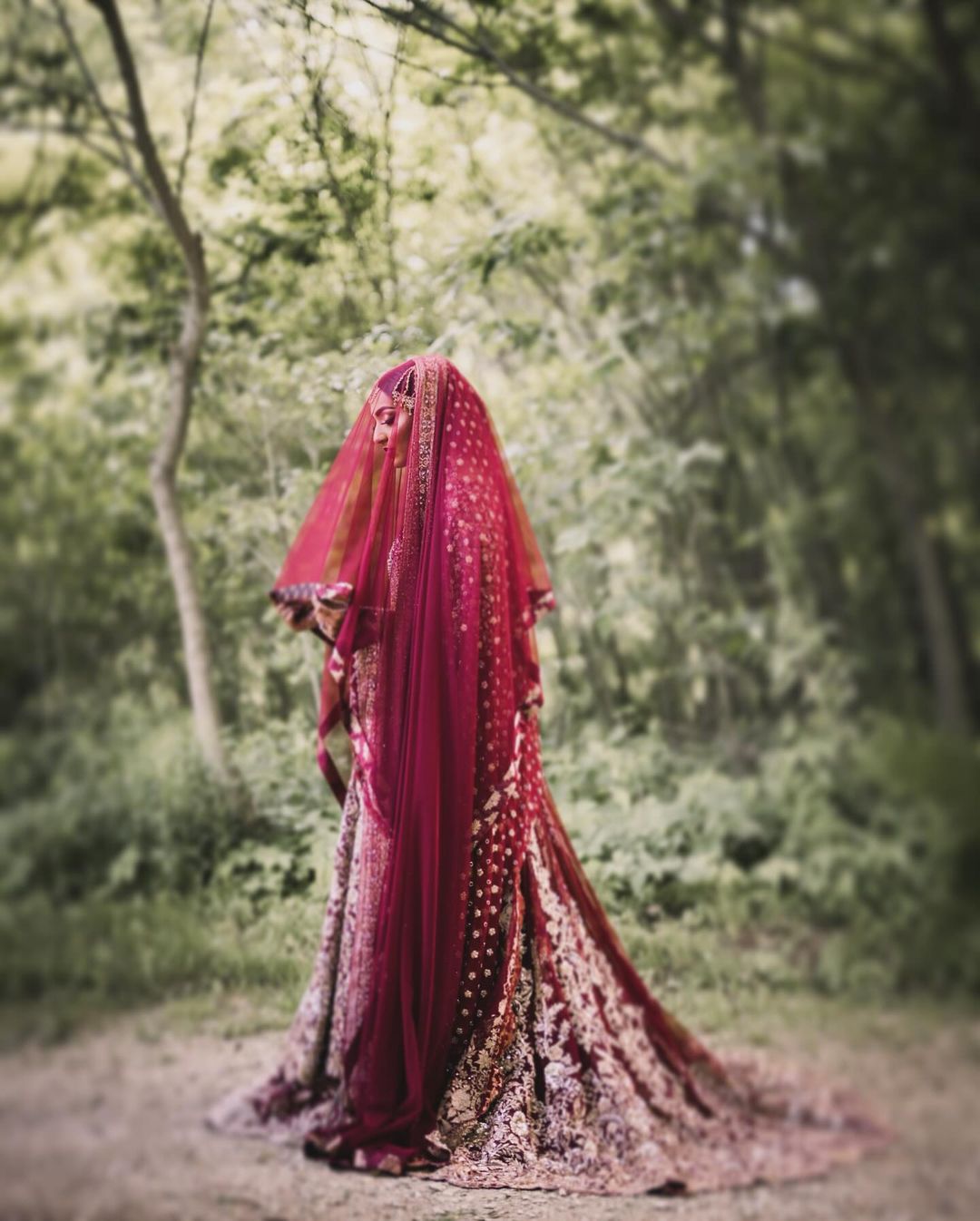 Amnabelal Photography