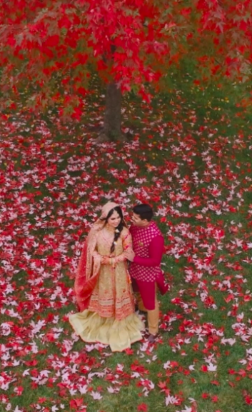 The Lotus Films