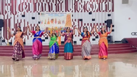 Desi Dance Fitness LLC